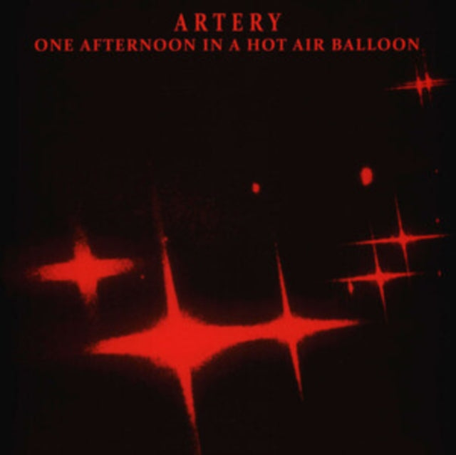 One Afternoon in a Hot Air Balloon