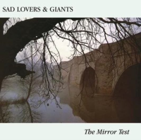 Mirror Test