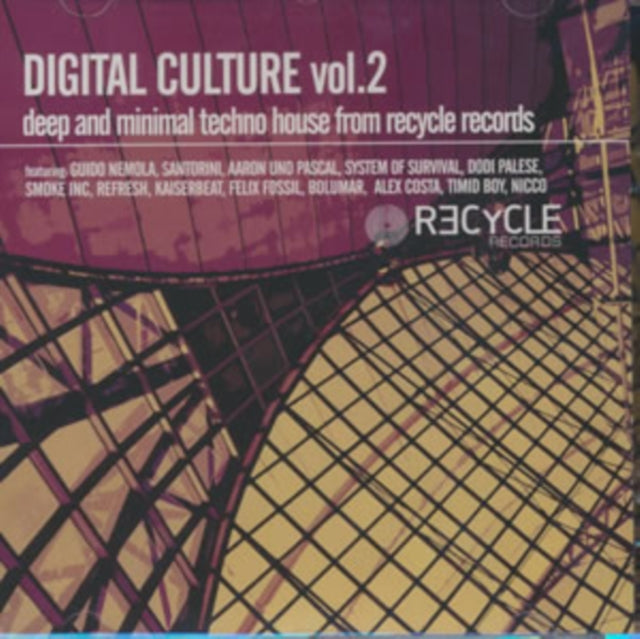 Digital Culture