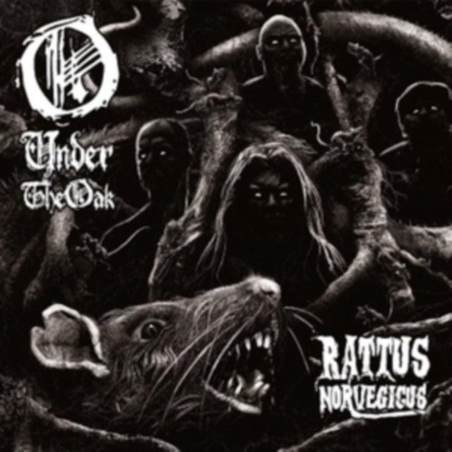 Rattus Norvegicus