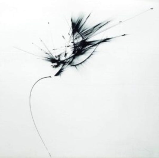 Guix: Images of Broken Light