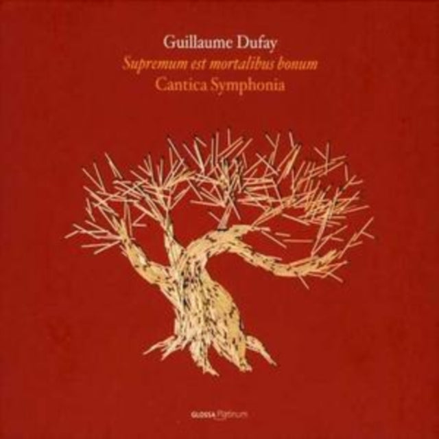 Motets Vol. 2 (Maletto, Cantica Symphonia)