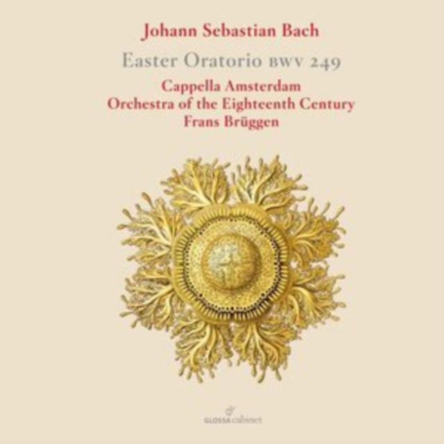Johann Sebastian Bcah: Easter Oratorio, BWV249