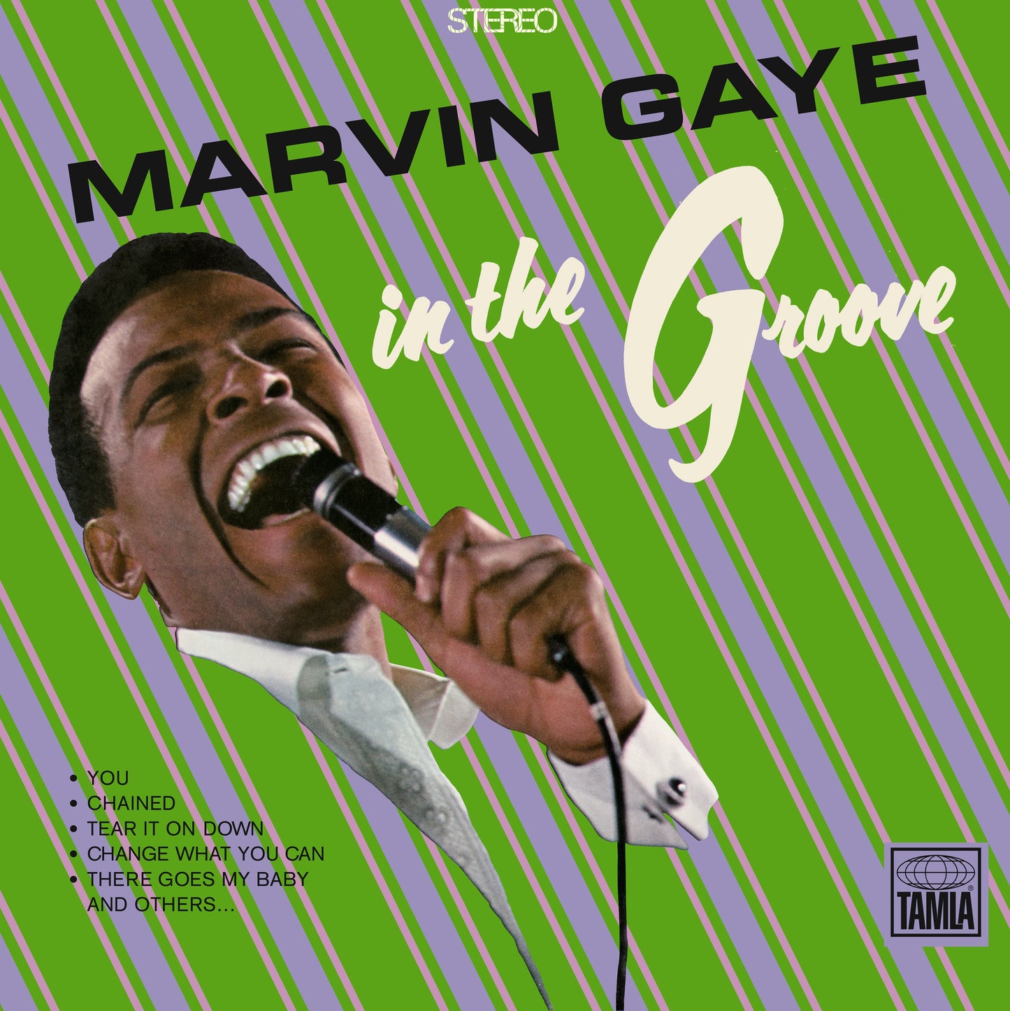 In The Groove