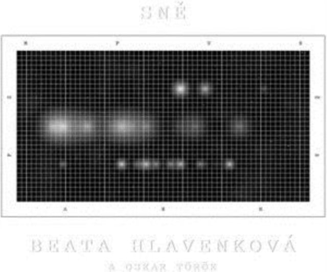 Sne