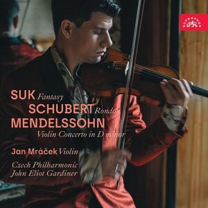 Suk: Fantasy/Schubert: Rondo/...