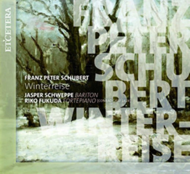 Franz Peter Schubert: Winterreise