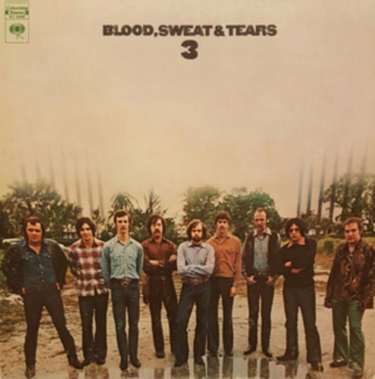 Blood, Sweat & Tears 3