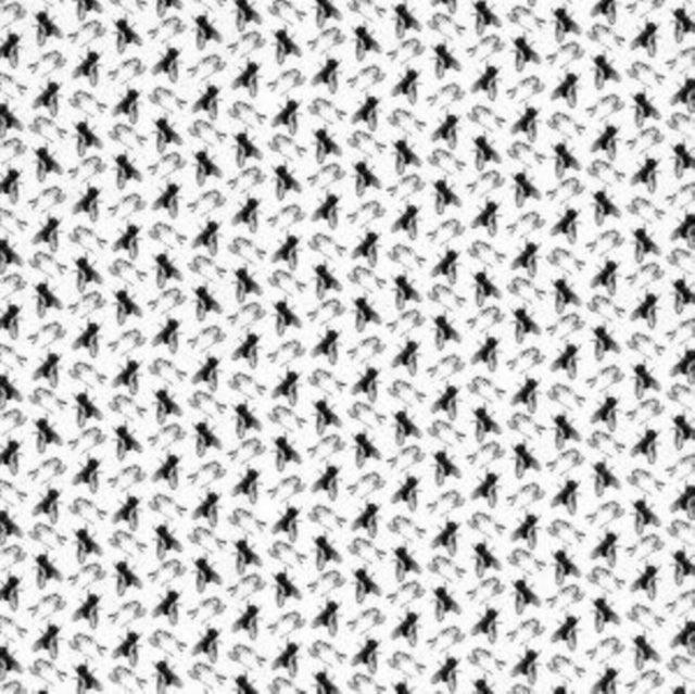 Two Flies in One Clap
