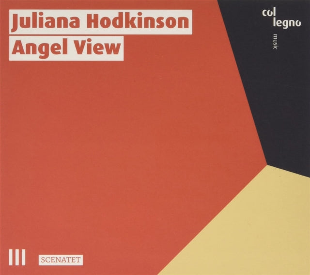 Juliana Hodkinson: Angel View