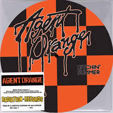 Bitchin Summer (Picture Disc)