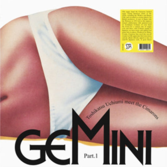 Gemini part 1