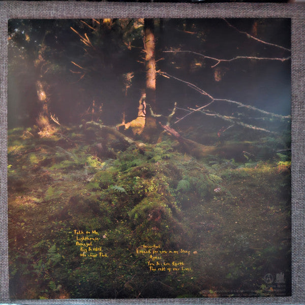 You & I Are Earth (Transparent Vinyl)
