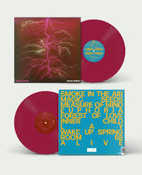 Magic Seeds (Deluxe Edition) (Ruby Vinyl) (+Booklet) (Indies)