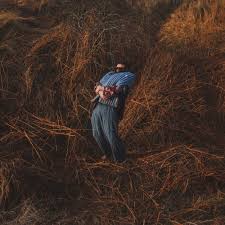 Pillars (Clear Vinyl) (Indie Exclusive)