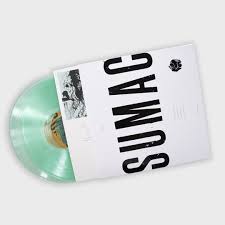 The Healer (Coke Bottle Clear Vinyl) (Indie Exclusive)