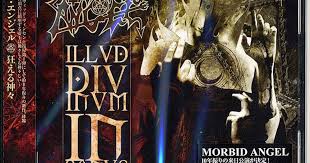 Illud Divinum Insanus