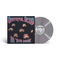 In The Dark (Silver Vinyl) (Syeor)