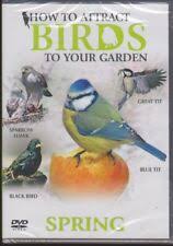 How To Attract Birds To Your Garden Spri