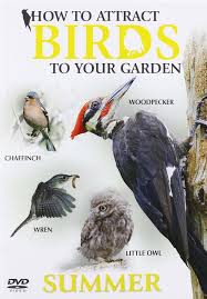 How To Attract Birds To Your Garden Summ