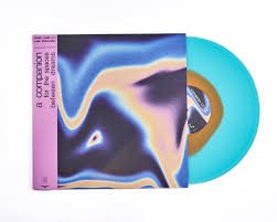 A Companion for the Spaces Between Dreams