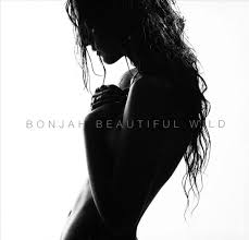 Beautiful Wild