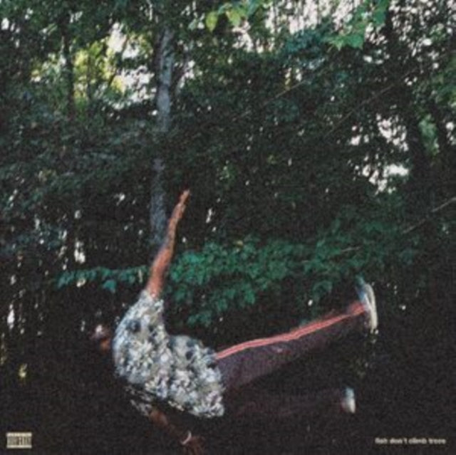 Fish Don't Climb Trees