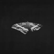 To Pimp A Butterfly (X) (10 Year Anniversary Edition) (Alternate Artwork)