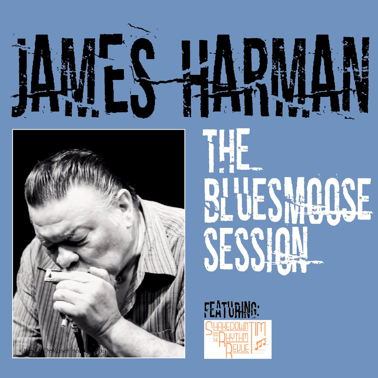 The bluesmoose session