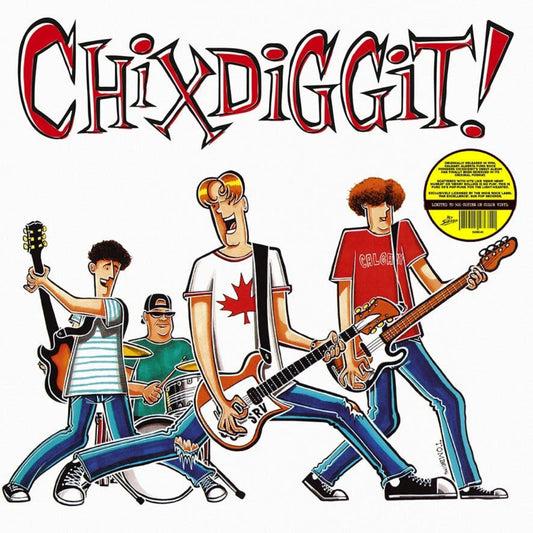 Chixdiggit!