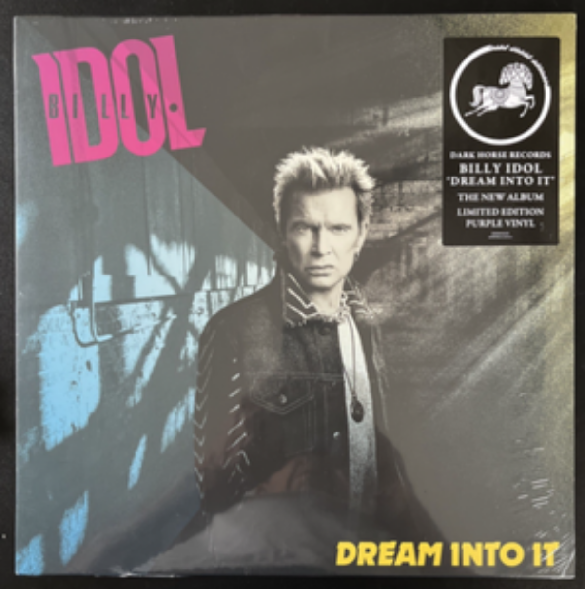 Dream Into It